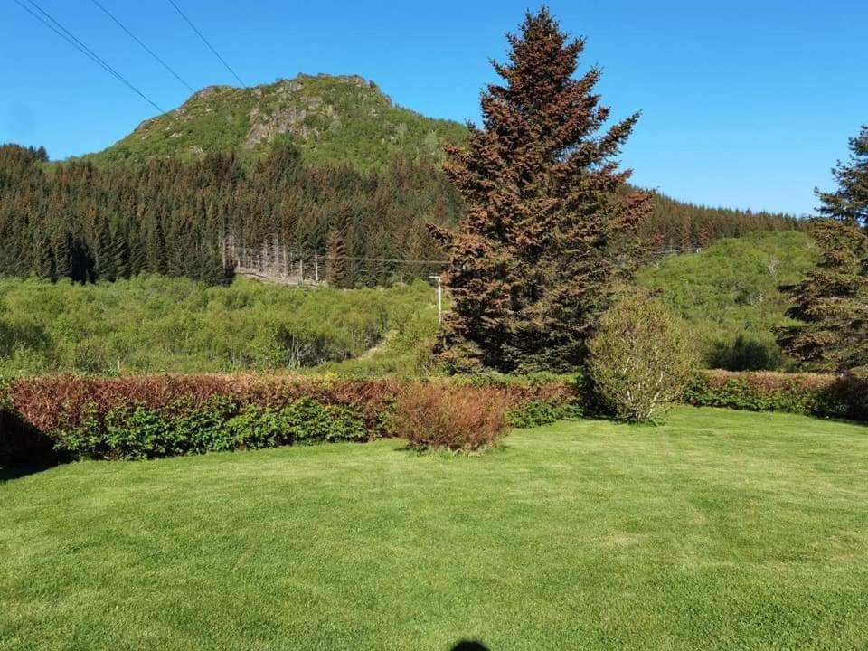 Gravdal  Banpim Hillside Lofoten With Jacusszi מראה חיצוני תמונה