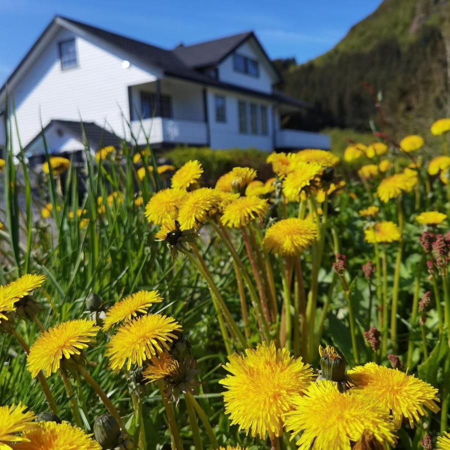 Gravdal  Banpim Hillside Lofoten With Jacusszi מראה חיצוני תמונה